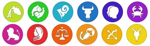 Horoscope and Astrologer