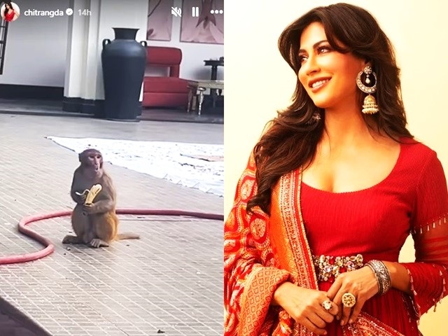 Chitrangda Singh shares a glimpse of new 'lunch guest on set' 